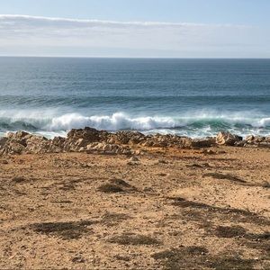 Meet your Posher, Kitty